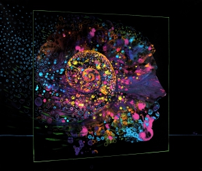 Beyond dream painting cycle in various formats